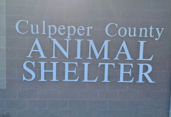 Culpeper County Animal Shelter