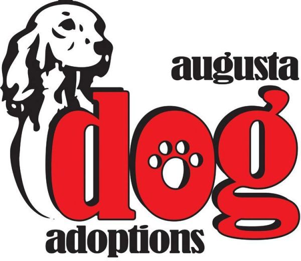 Augusta Dog Adoptions