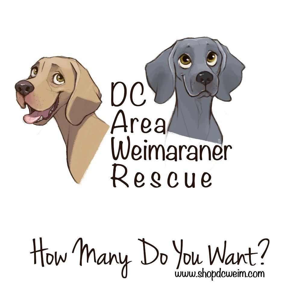 DC Area Weimaraner Rescue