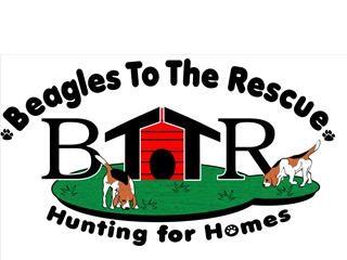 BTTR Logo