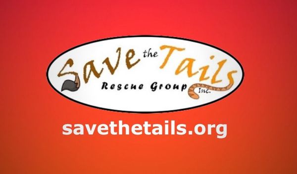 Save The Tails Rescue Group, Inc.