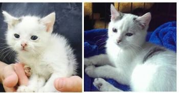 Ari: Before foster care and after.