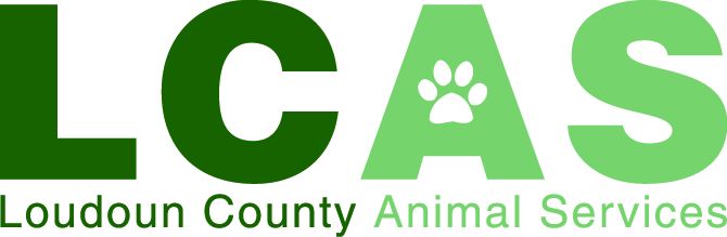Pets for Adoption at Loudoun County Animal Shelter, in Leesburg, VA |  Petfinder