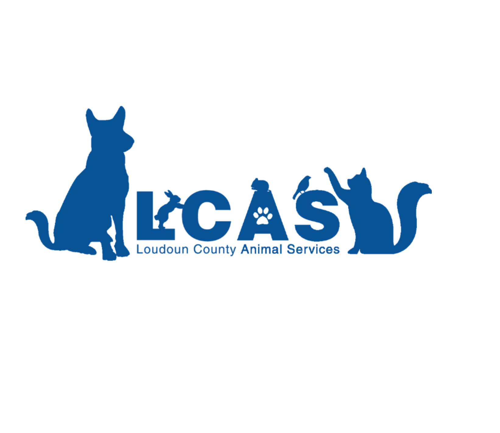 Pets for Adoption at Loudoun County Animal Shelter, in Leesburg, VA
