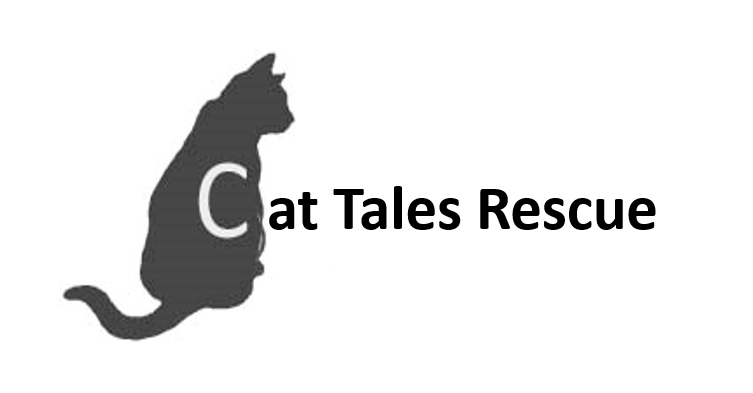 Cat Tales Rescue