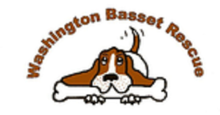Washington Basset Rescue