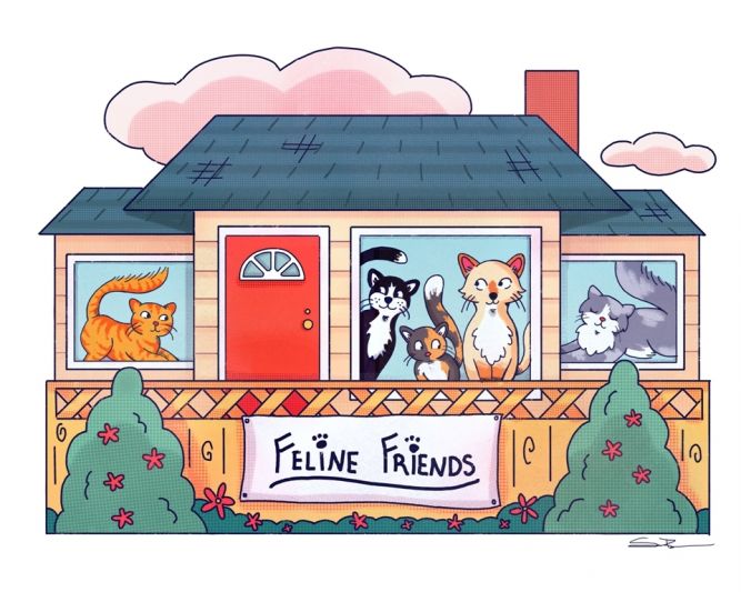 Feline Friends