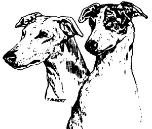 Greyhound Pets, Inc. ~ www.greyhoundpetsinc.org