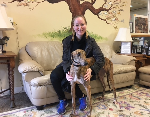 Another happy greyhound adoption!