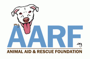 Pets for Adoption at Animal Aid and Rescue Foundation, in Seahurst, WA |  Petfinder