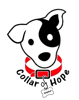 Collar of Hope