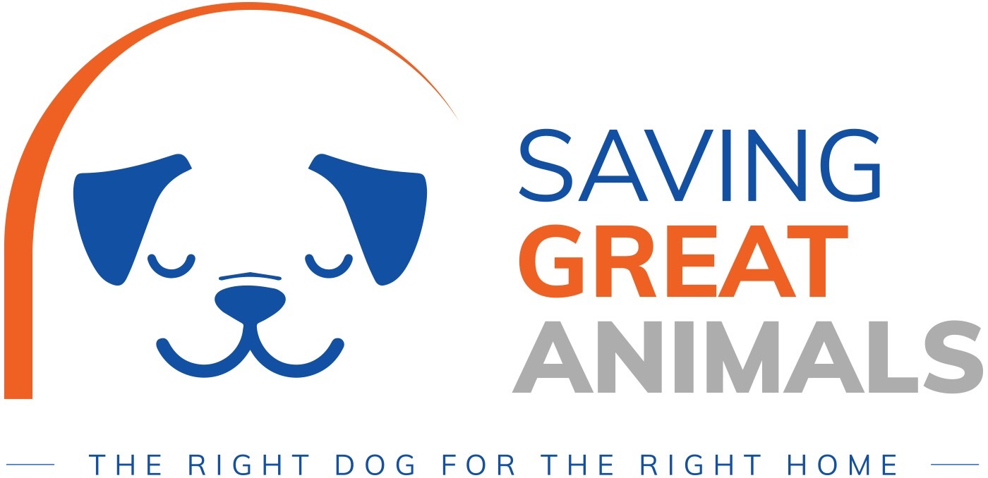 Pets for Adoption at Saving Great Animals WA, in Seattle, WA | Petfinder