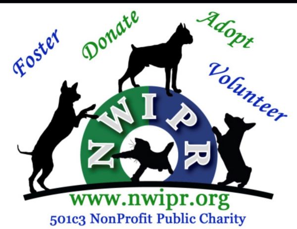 Northwest International Pet Rescue