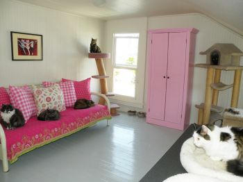 Ladies lounging in the pink room.