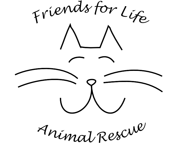 Pets for Adoption at Friends for Life Animal Rescue in Burlington