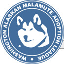 WAMAL WA Alaskan Malamute Adoption League