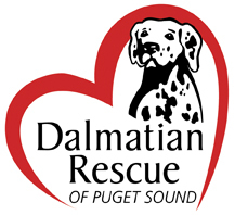 Dalmatian Rescue of Puget Sound