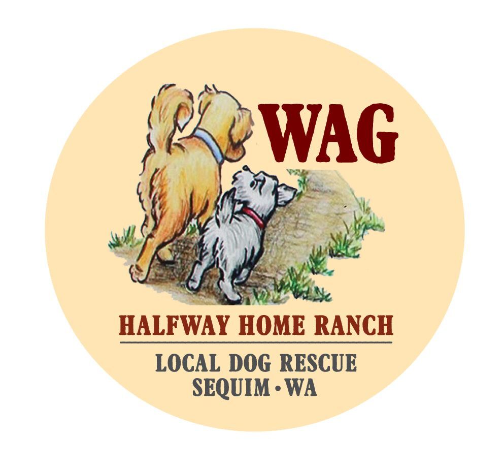 Welfare for Animals Guild (WAG)