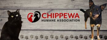 Chippewa falls humane society centene number of employees