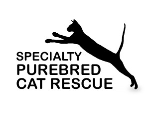 Specialty Purebred Cat Rescue