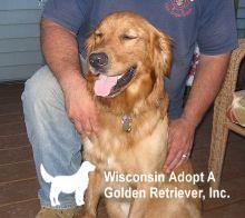 Wisconsin Adopt A Golden Retriever Inc.