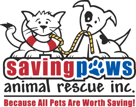 Paws cat hot sale rescue