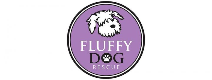 fluffy dog rescue wi