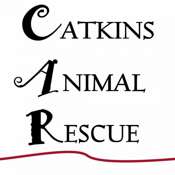 Catkins Animal Rescue, Inc