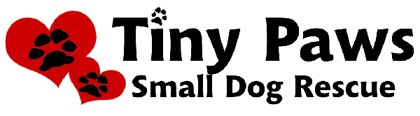 Tiny Paws Small Dog Rescue