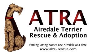 Airedale Terrier Rescue & Adoption