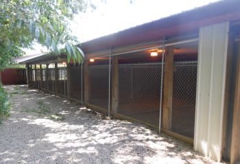 Outdoor Dog Kennels