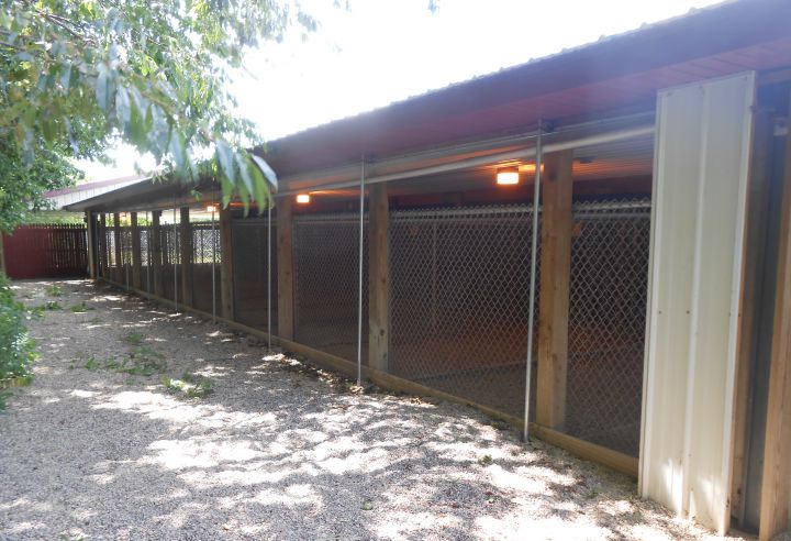 Outdoor Dog Kennels