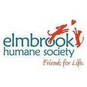 Elmbrook humane hot sale society dogs