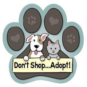 Save Lives...Adopt!