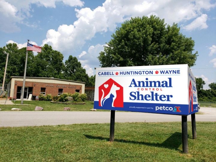 Huntington shelter sale and adoption center