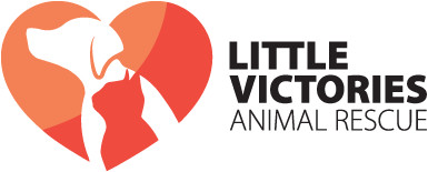 Little Victories Animal Rescue Group