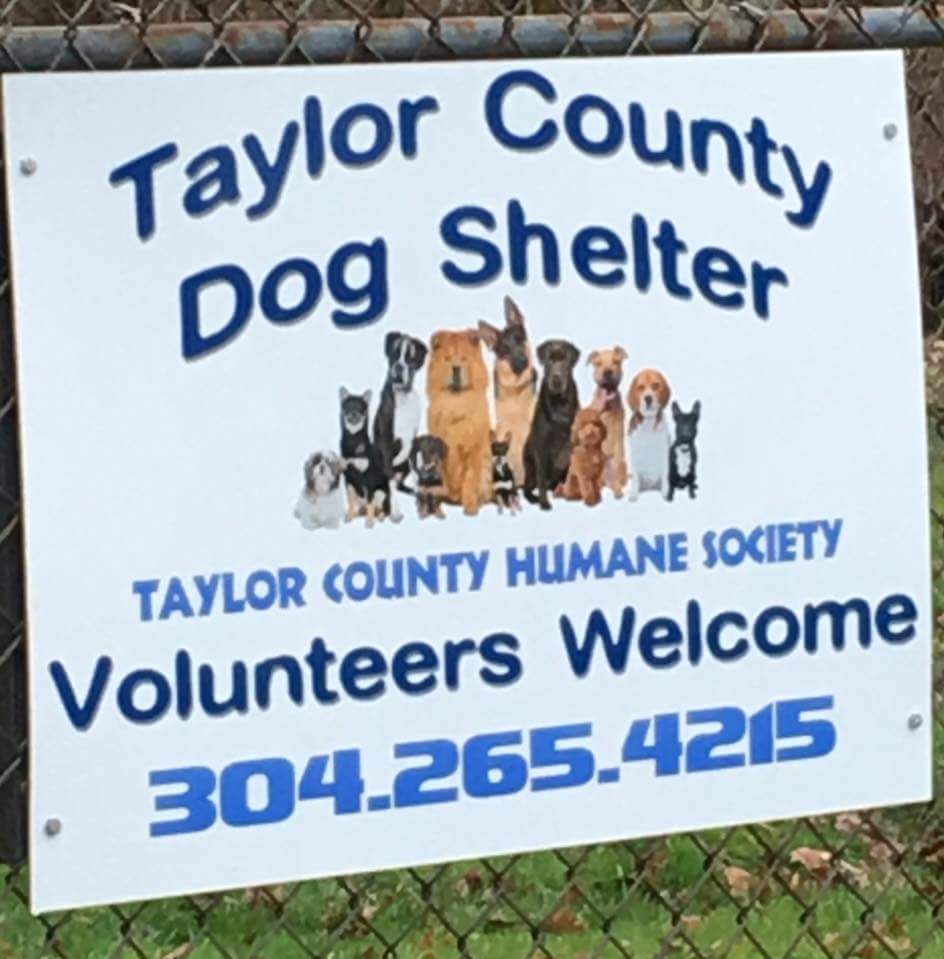 taylor animal shelter dogs