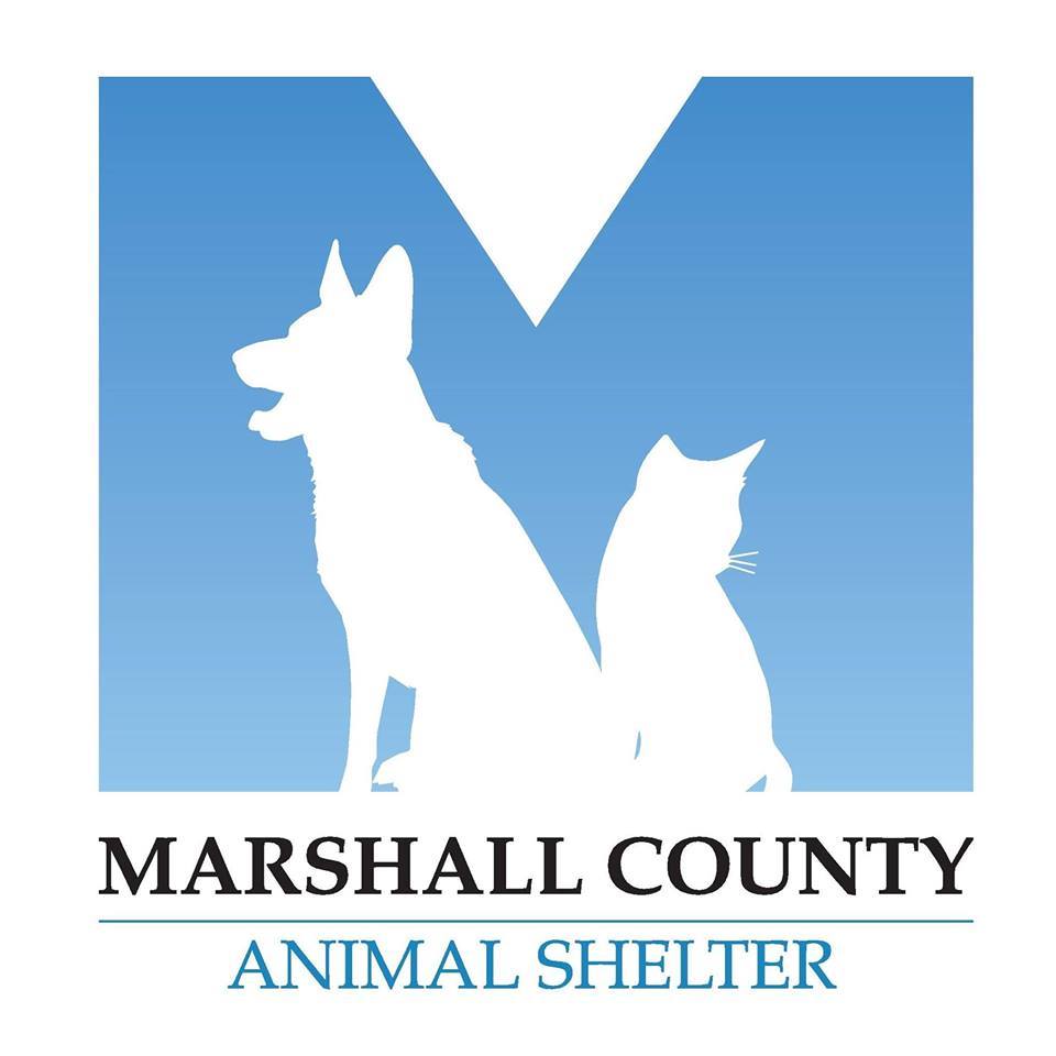 at Marshall County Animal Shelter 