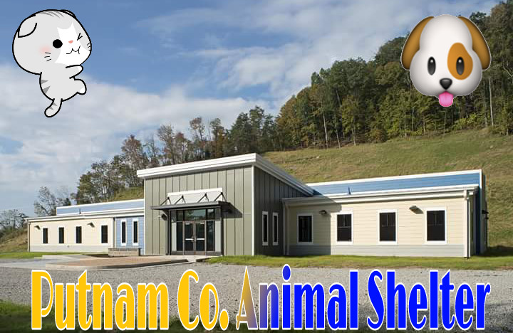 Putnam county best sale animal shelter