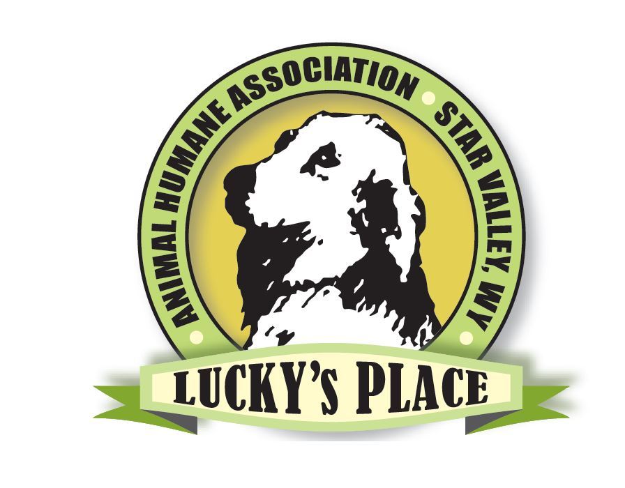 Animal Humane Association of Star Valley