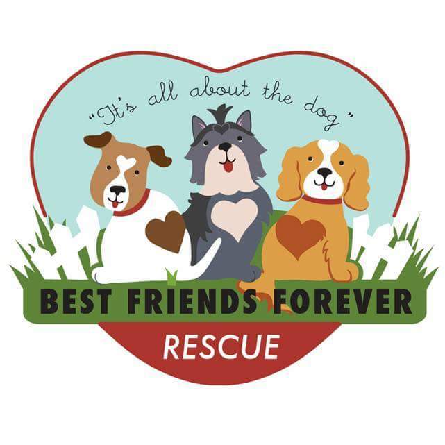 Best Friends Forever Rescue