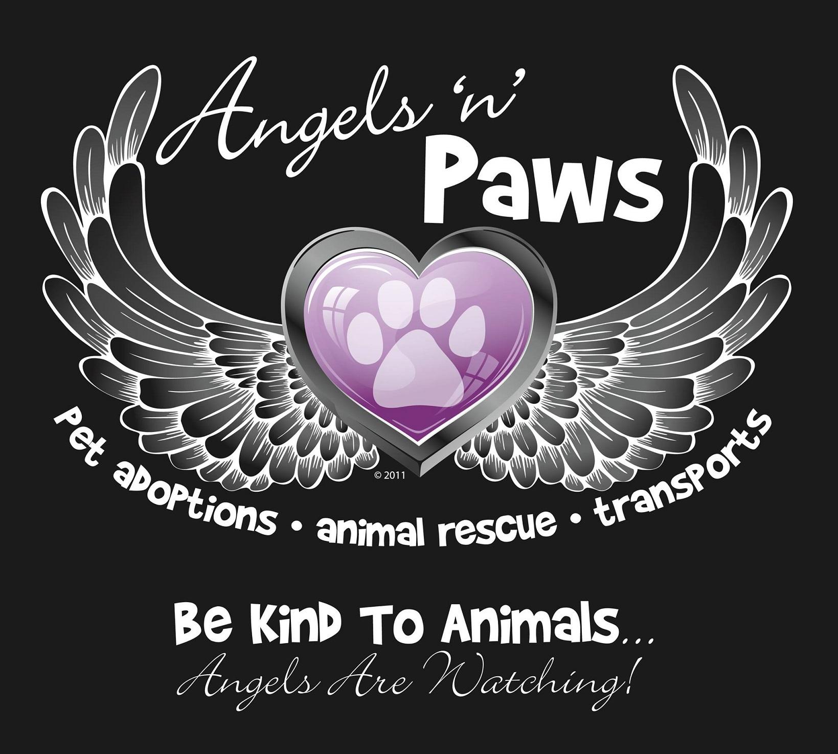 Angels N Paws