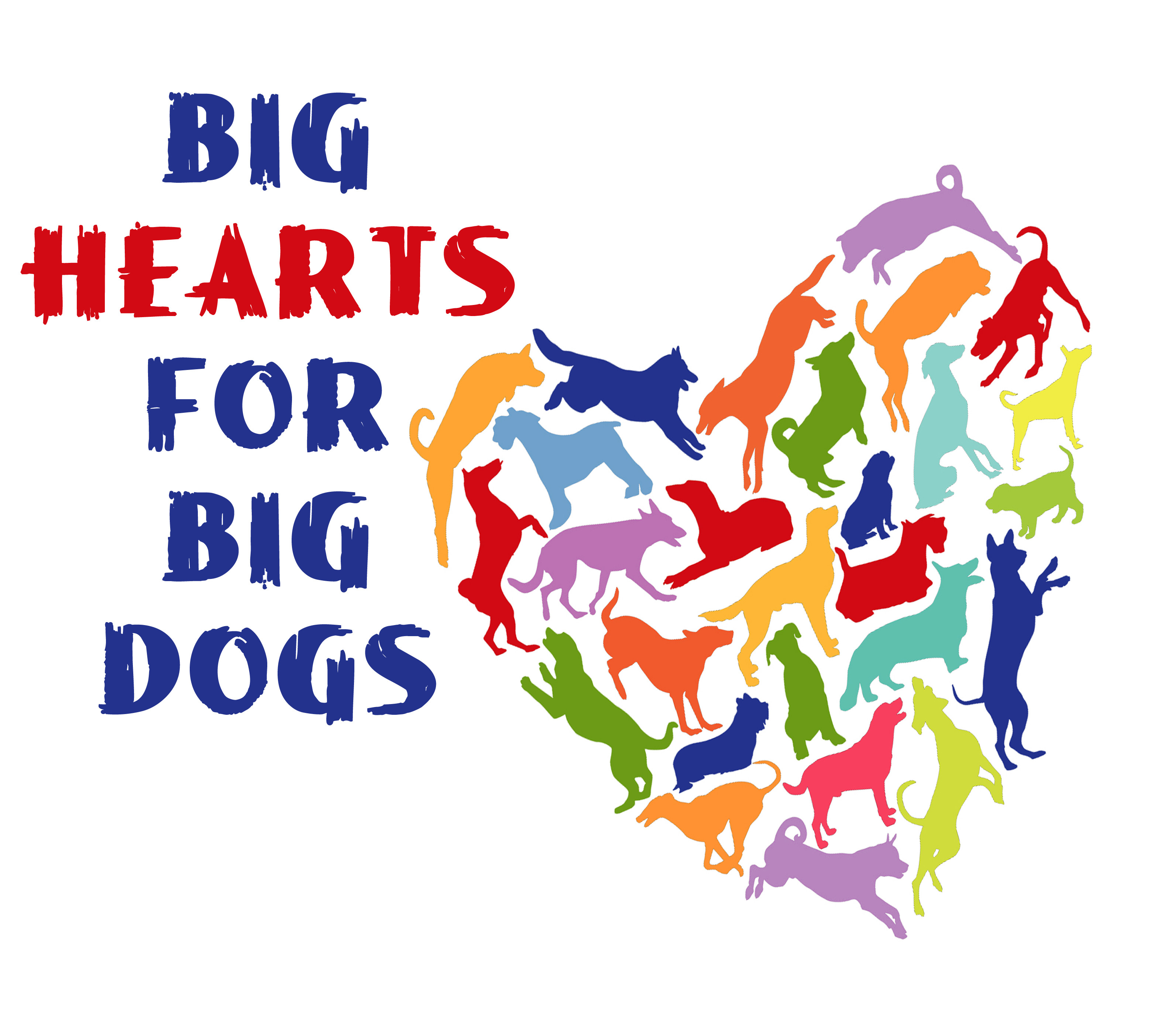 Little dogs best sale big hearts rescue