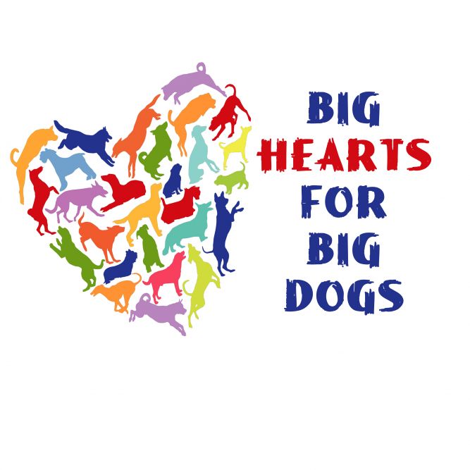Big Hearts for Big Dogs Rescue