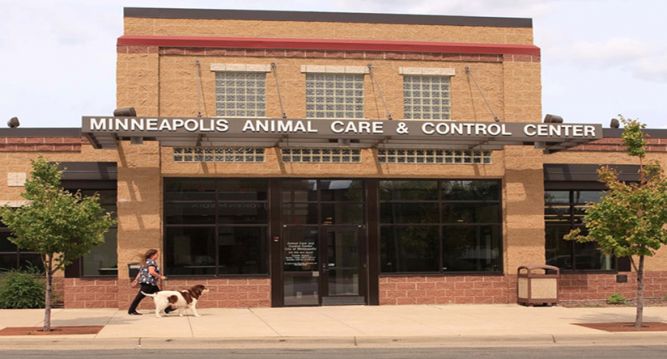 Pets for Adoption at Minneapolis Animal Care and Control, in Minneapolis, MN  | Petfinder
