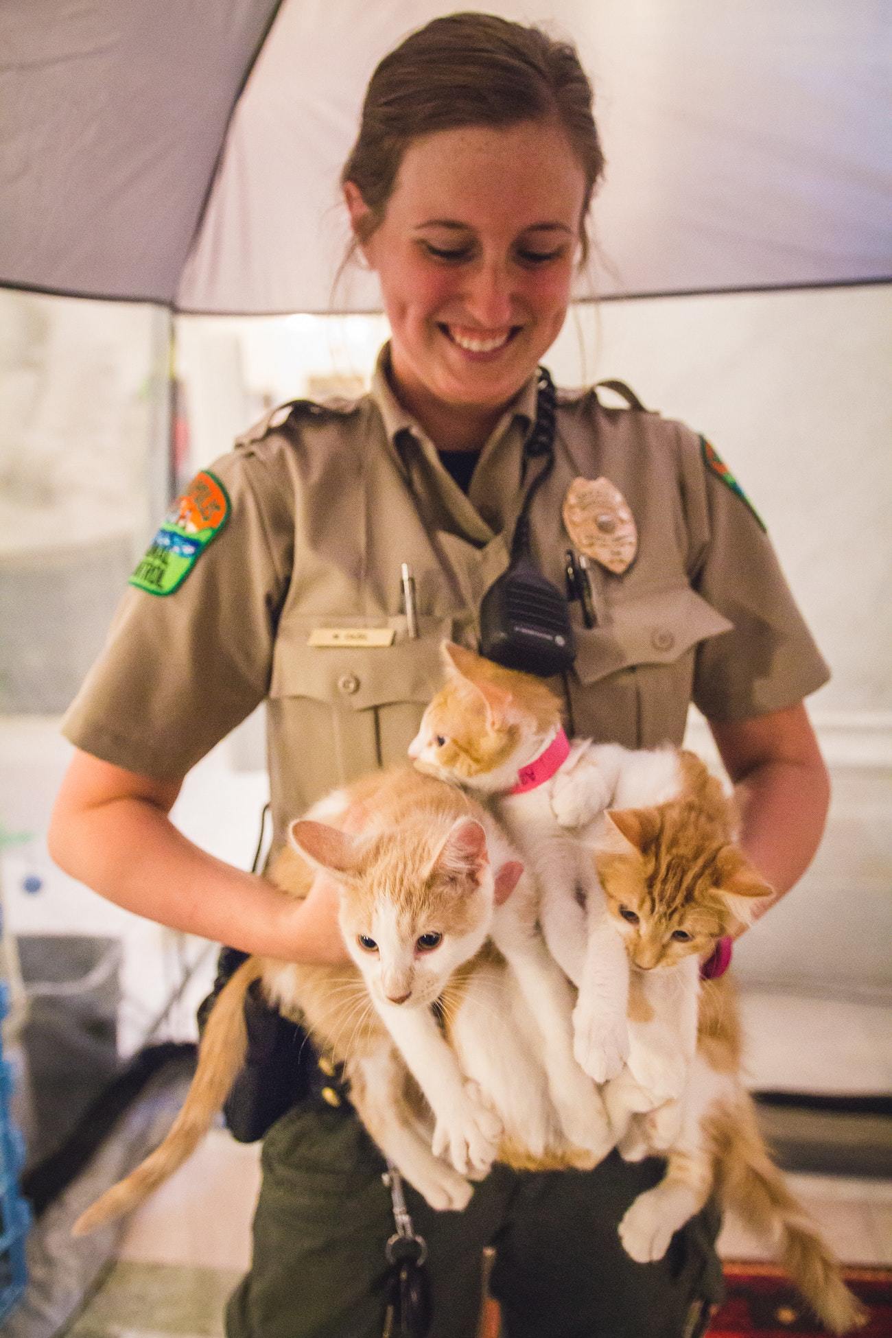 Pets for Adoption at Minneapolis Animal Care and Control ...