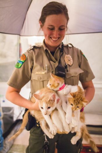 minneapolis animal control jobs