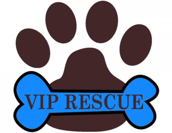 VIP Rescue