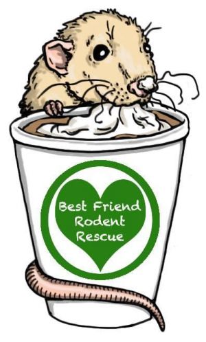 Best Friend Rodent Rescue