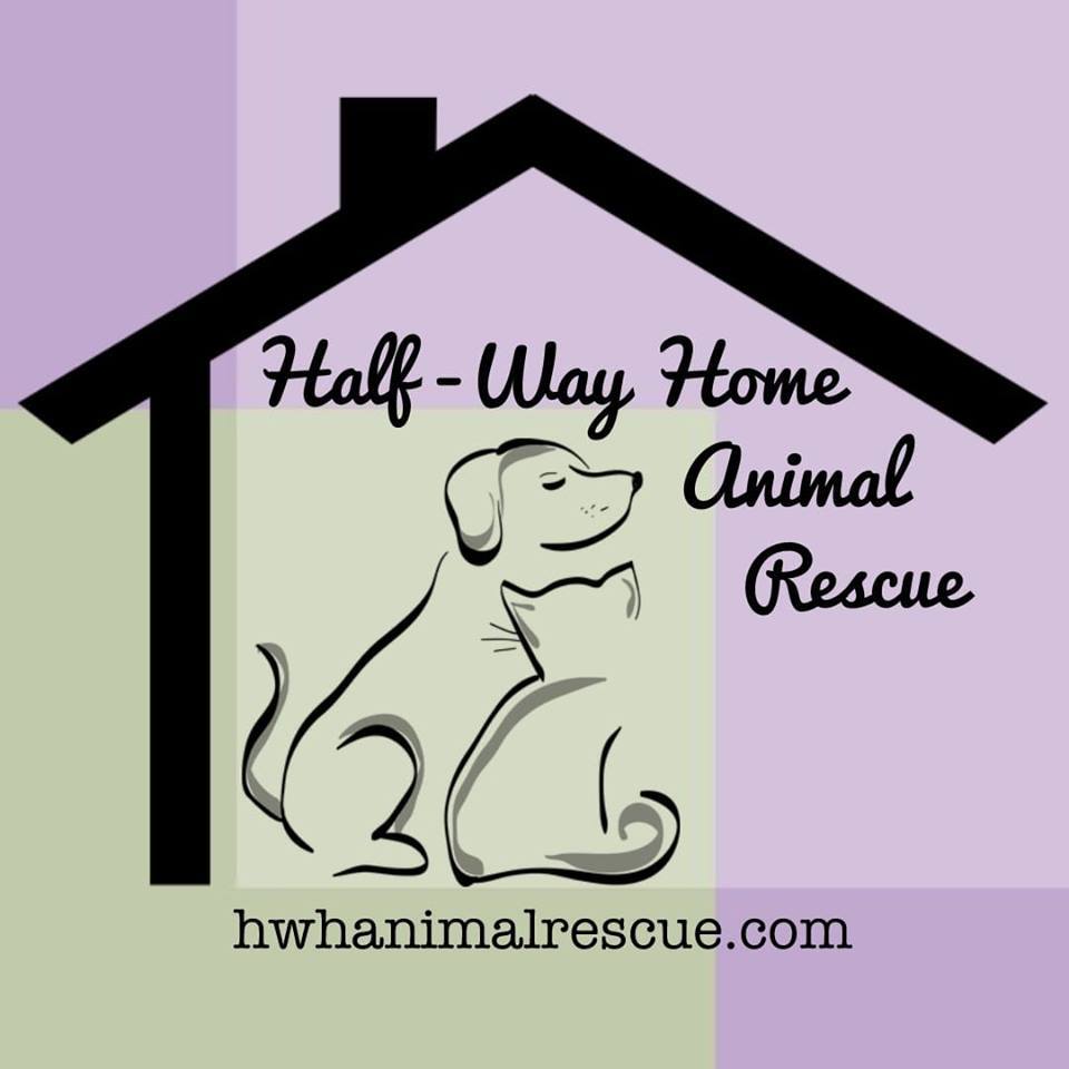 Animal best sale rescue home